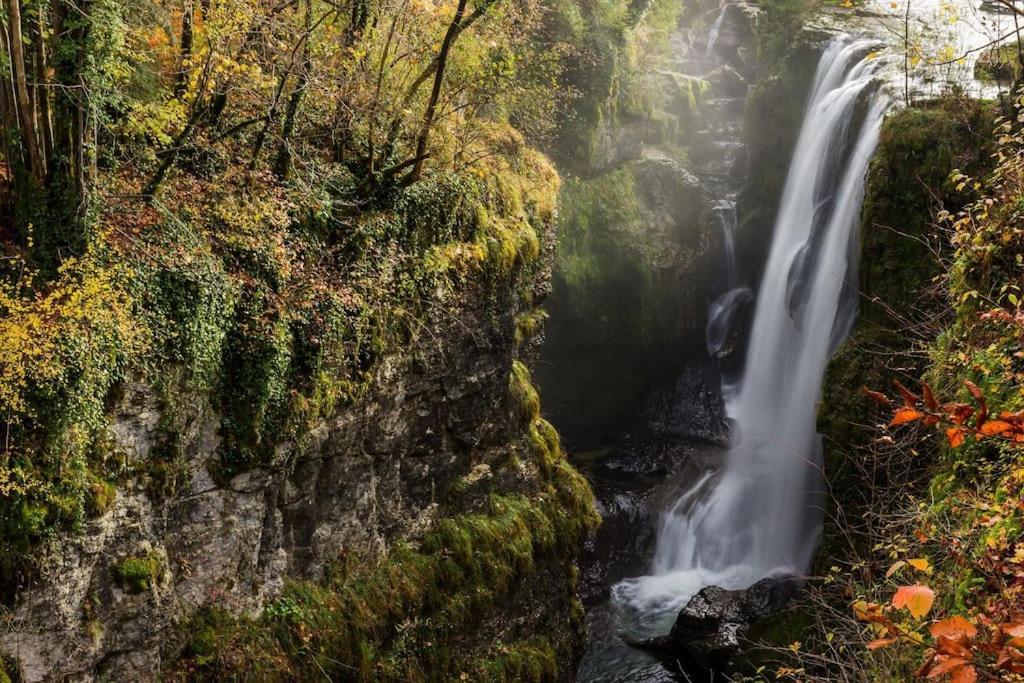 Maison Renovee Au Coeur Du Haut-jura Hébergement de vacances *